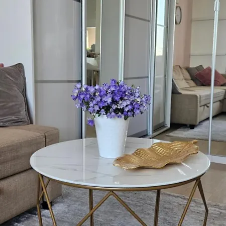 Sunny Apartment Kaunas